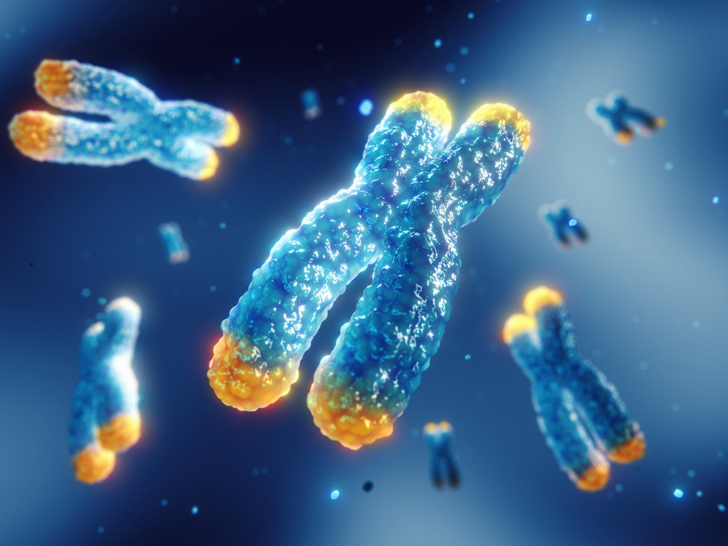 DNA Telomere Analyse Genanalyse Gentest dnatest gesundheit prävention krank gesund präventiv vorbeugung ernährung nahrung gene
