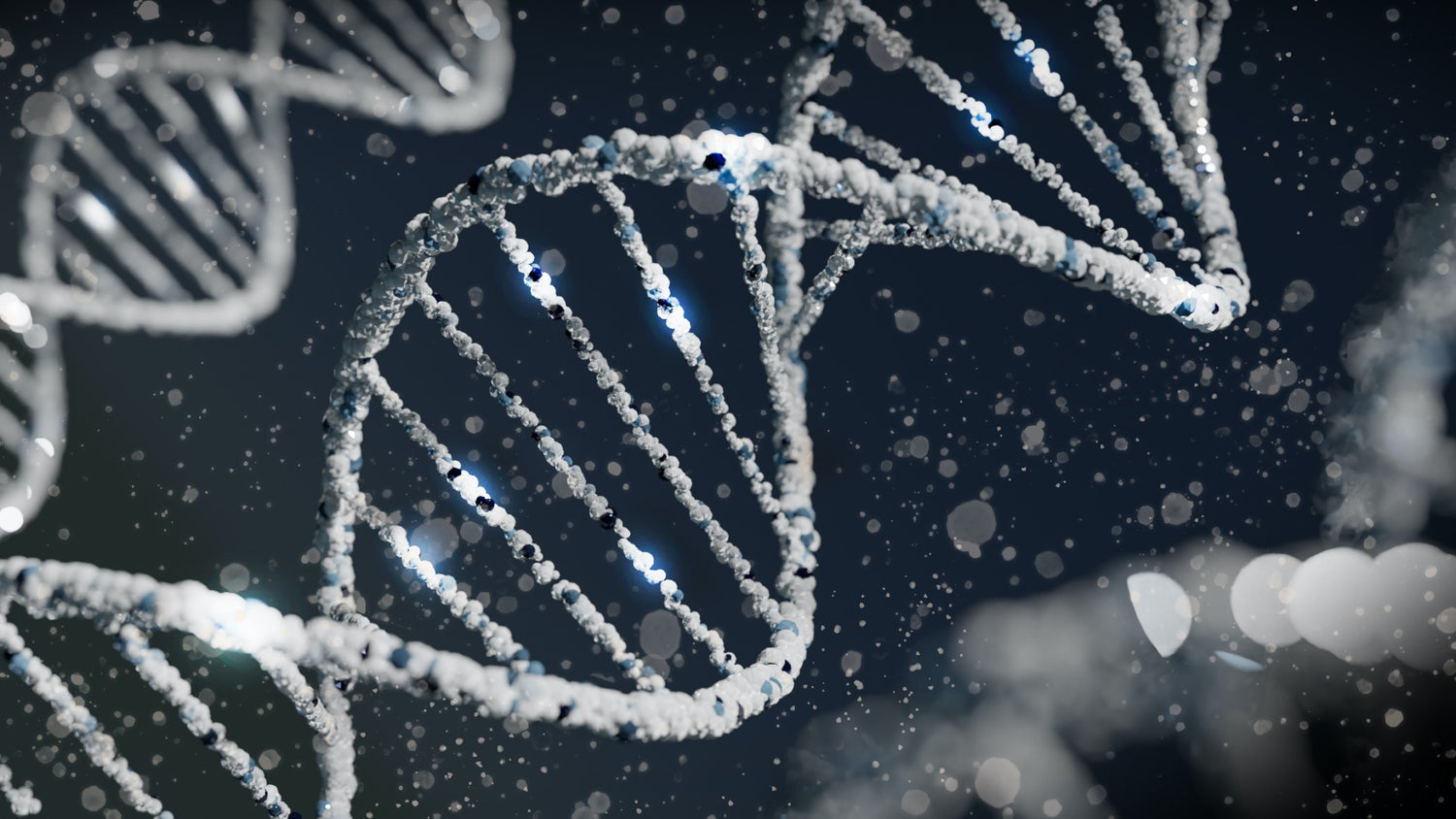 DNA Telomere Analyse Genanalyse Gentest dnatest gesundheit prävention krank gesund präventiv vorbeugung ernährung nahrung gene